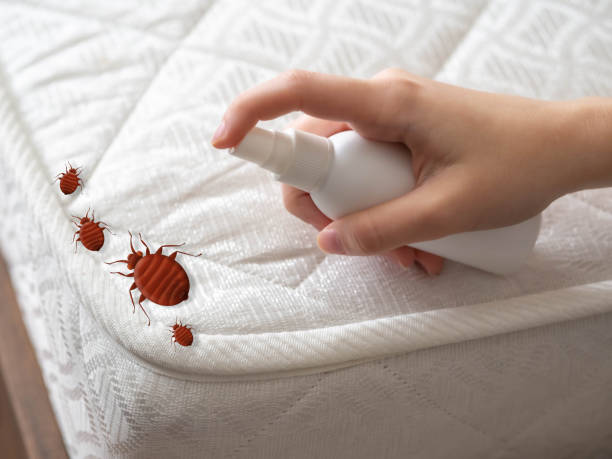 Best Residential Pest Control  in Asbury Park, NJ